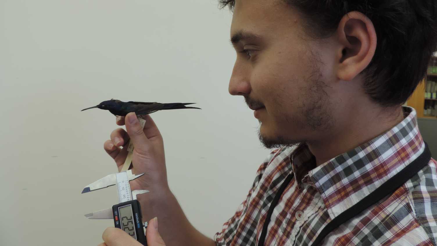 Thumbnail for I completed a summer research placement and got to work in the specimen collecti…