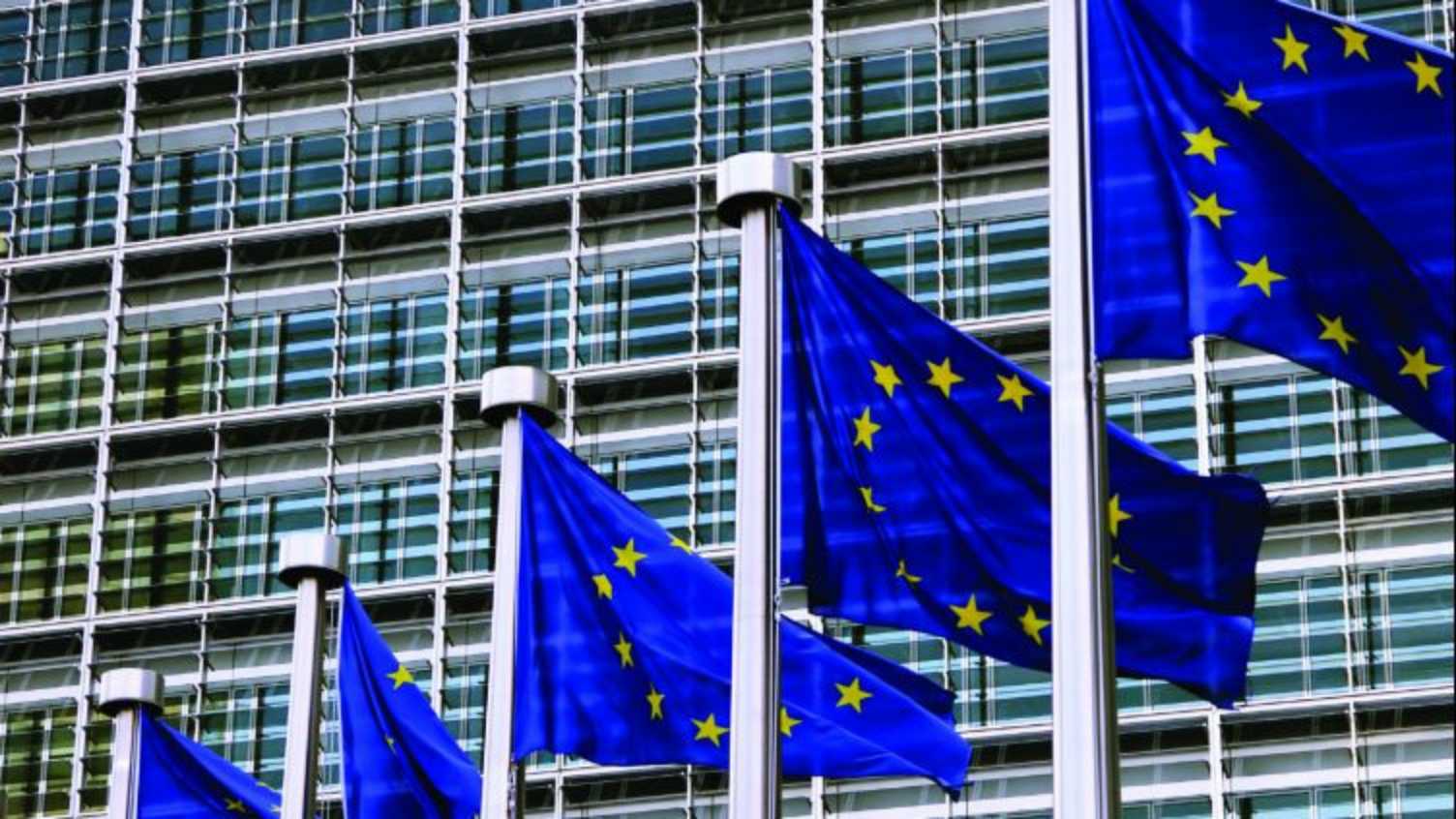Thumbnail for 'Study on the Control and Enforcement Rules for Geographical Indication (GI) pro…