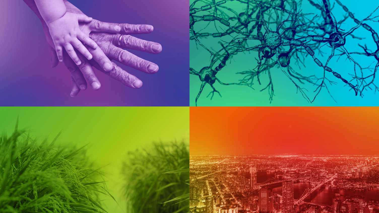 Contact the flagships Research The University of Sheffield