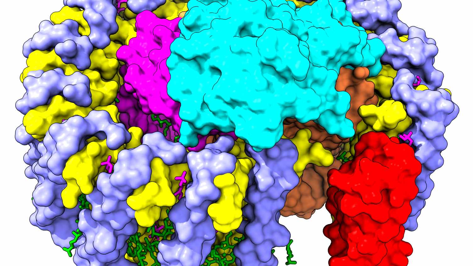 Thumbnail for Structure of photosynthetic complexes | Photosynthesis 