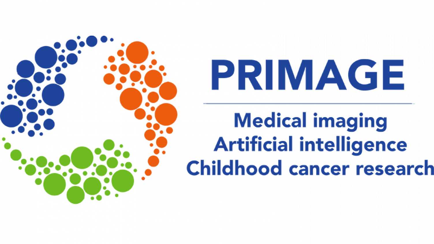 Thumbnail for Update on the PRIMAGE project | Insigneo Institute 
