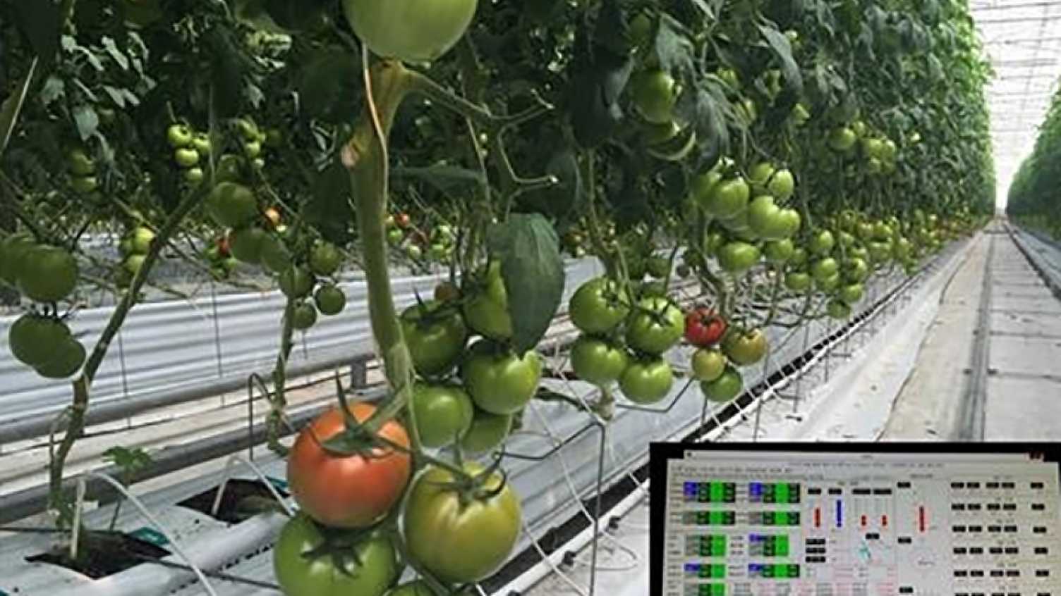 Thumbnail for New project for energy researchers will improve sustainability for smart farms i…