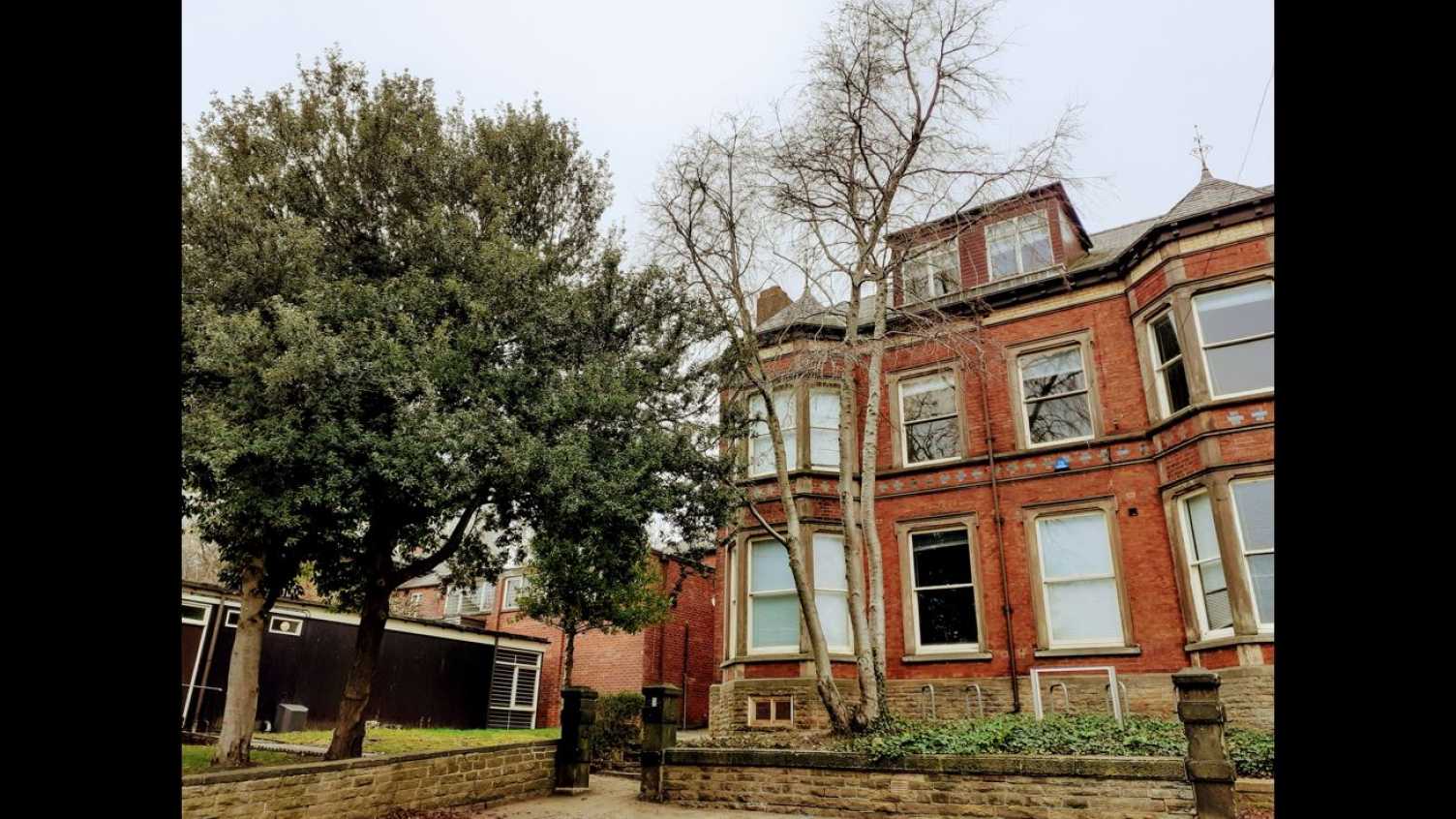 Thumbnail for Experts work together to save one of the University's trees | EFM 