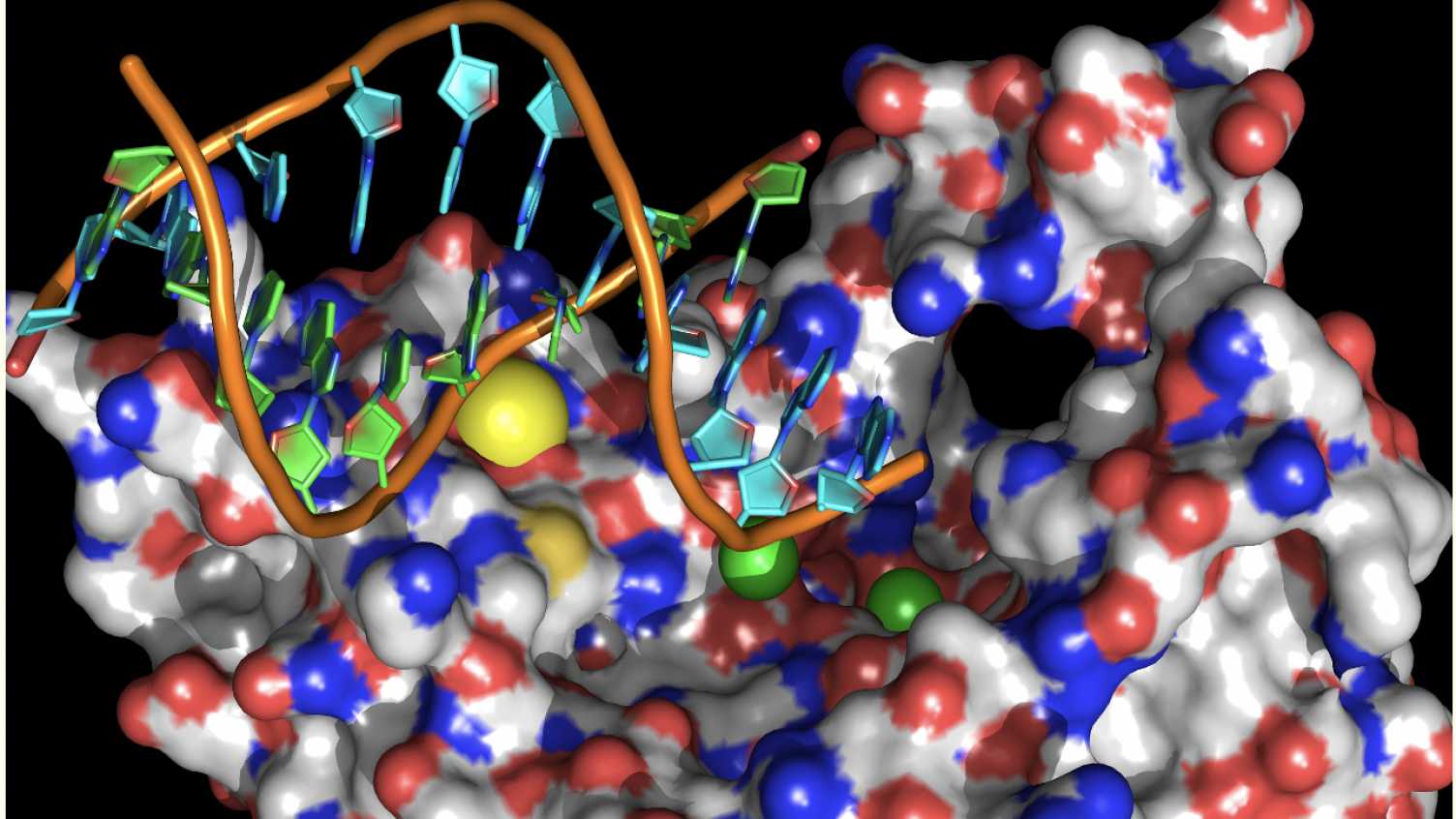 Thumbnail for Targeting a parasite’s DNA could be more effective way to treat malaria | News…