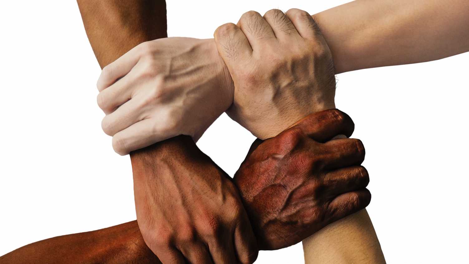 Thumbnail for UNISON-funded project on public sector employment and union organising | Managem…