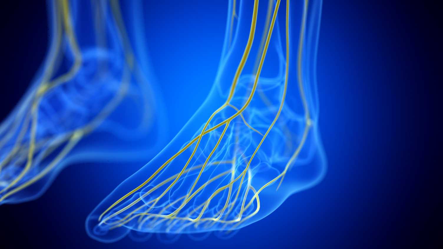 Digital foot could revolutionise bionic limbs and other assistive ...