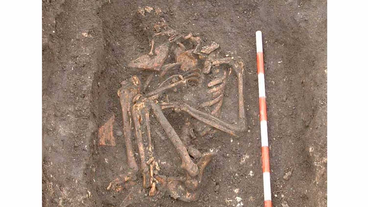 Thumbnail for Mysterious skeleton revealed to be that of unusual Lady Anchoress of York Barbic…