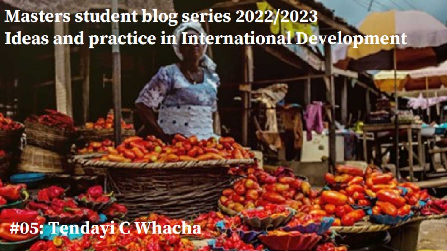 Thumbnail for Why is Nigeria Food Insecure? | Geography and Planning 