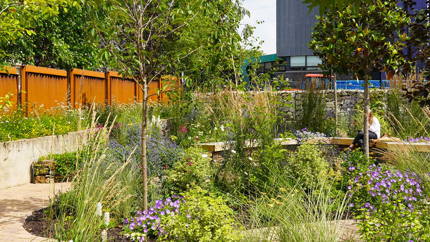 Thumbnail for Recycled pocket park opens to the public | News 