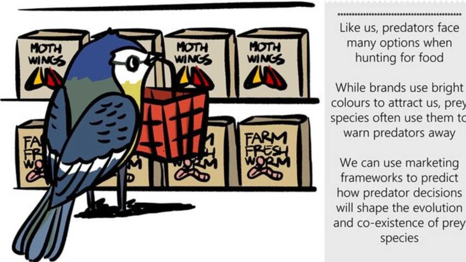 Thumbnail for What marketing theory can teach us about predator-prey interactions | BRISTT 