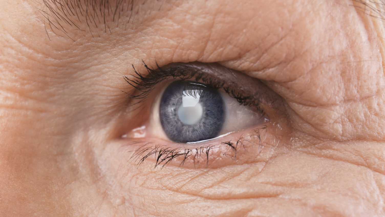 Thumbnail for Students help develop much-needed resources for visually impaired people in hosp…