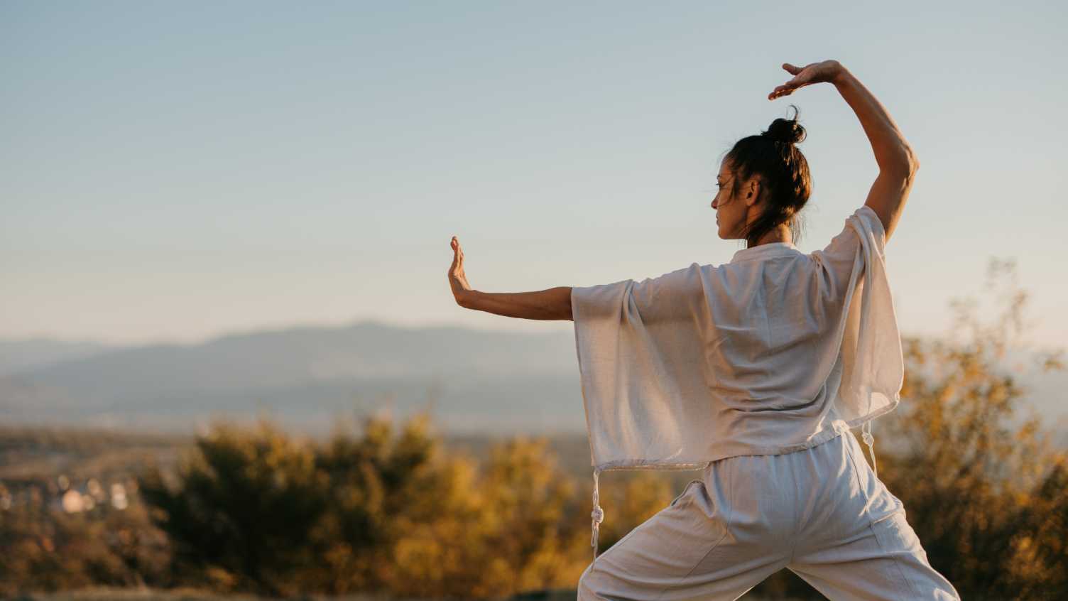 Thumbnail for Philosophical thinking and experience of Tai Chi 太极的哲学思考和体验 …