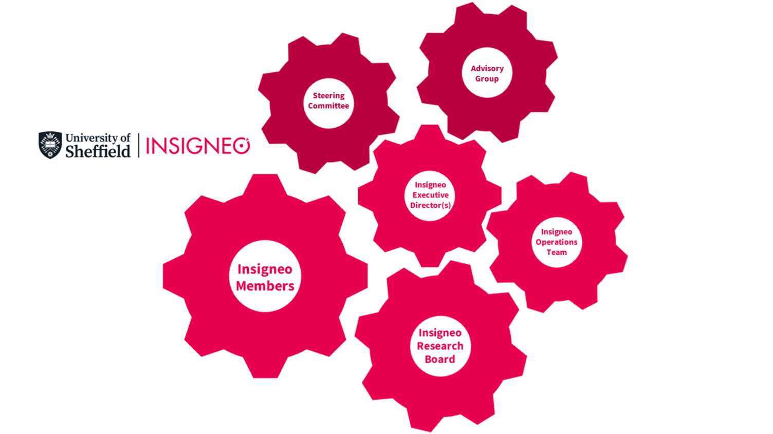 Thumbnail for Insigneo structure | Insigneo Institute 