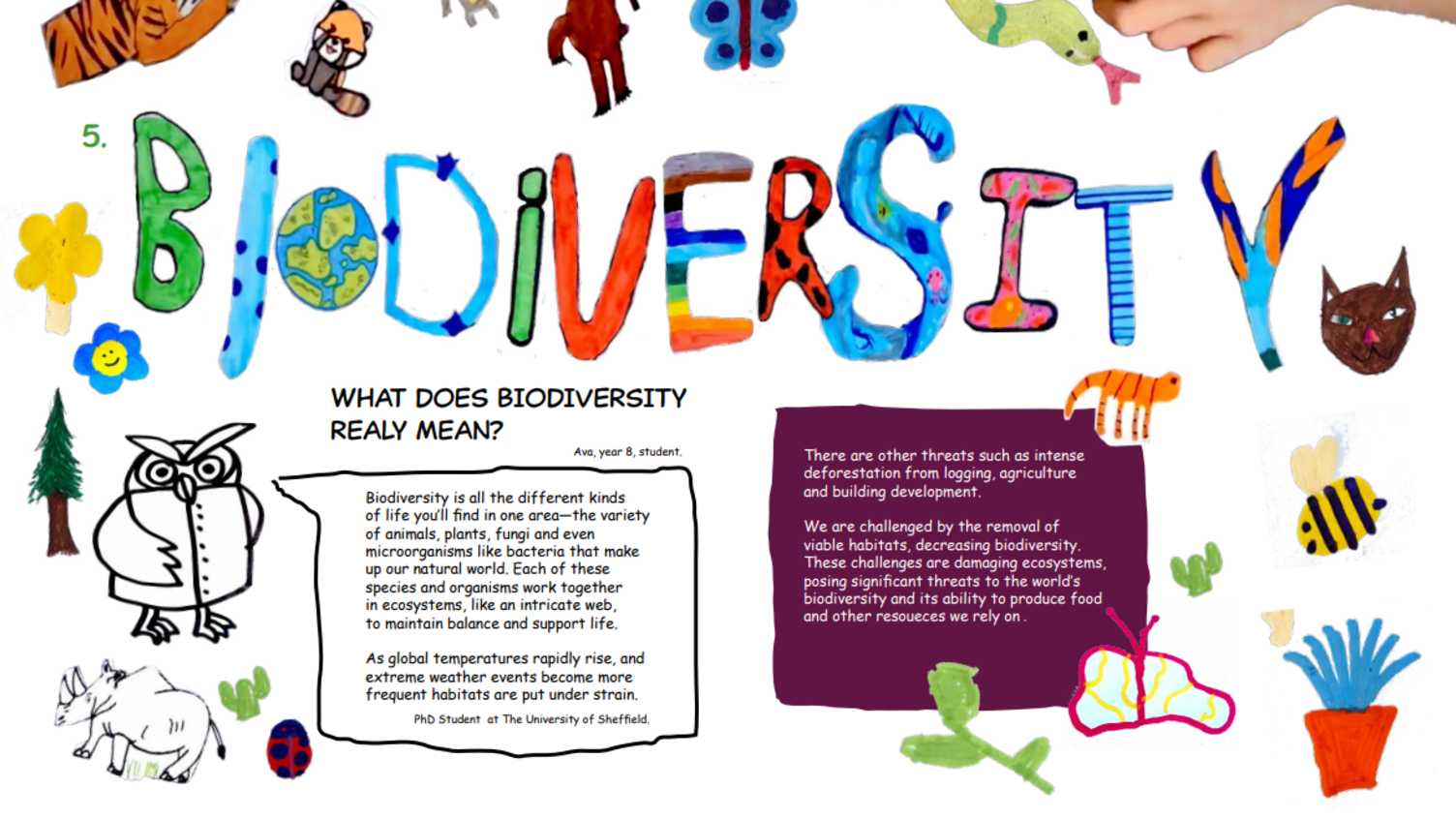 Thumbnail for Sheffield schoolchildren's artwork helps inspire the next generation of bioscien…