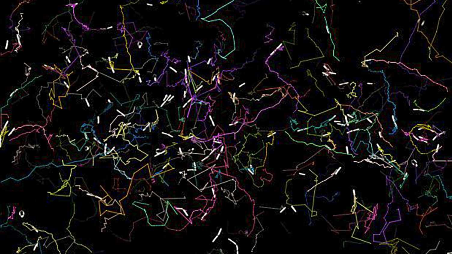 Thumbnail for New discovery of how bacteria navigate their environment could change how we tre…