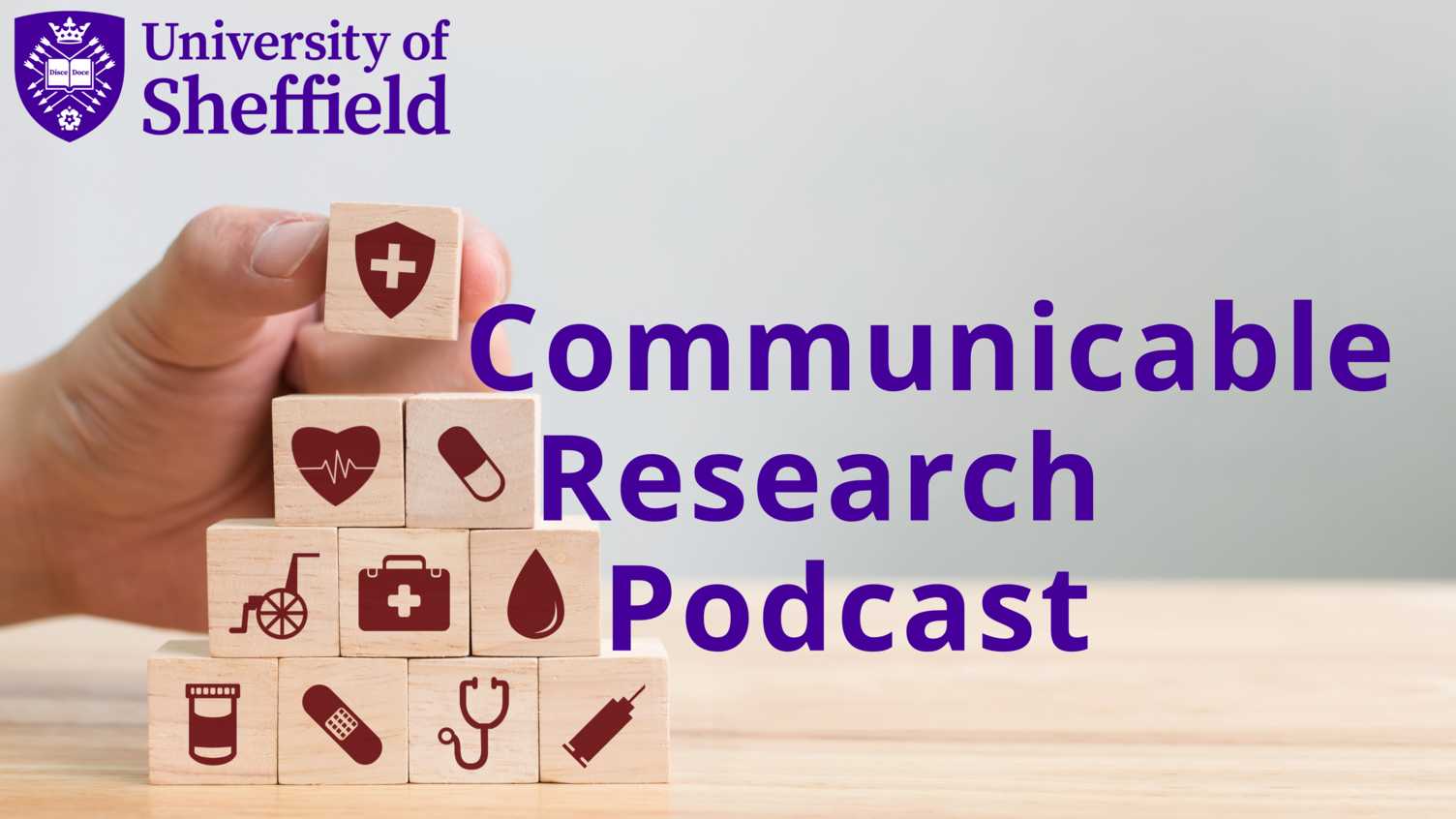 Thumbnail for Mobilising NIHR research in public health planning and delivery | SCHARR 