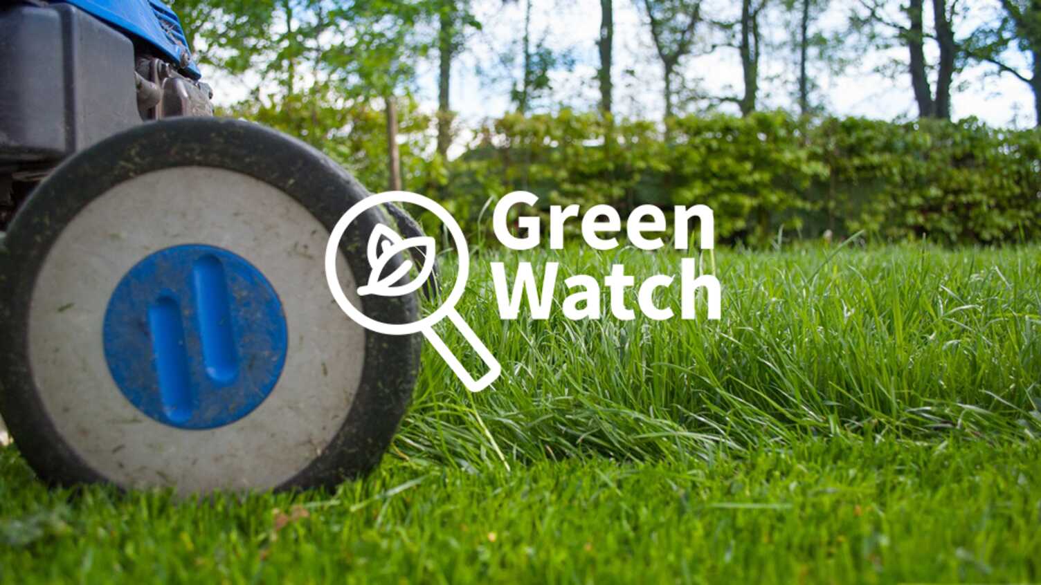 Thumbnail for The misconceptions about the role of electrification in decarbonisation | Granth…