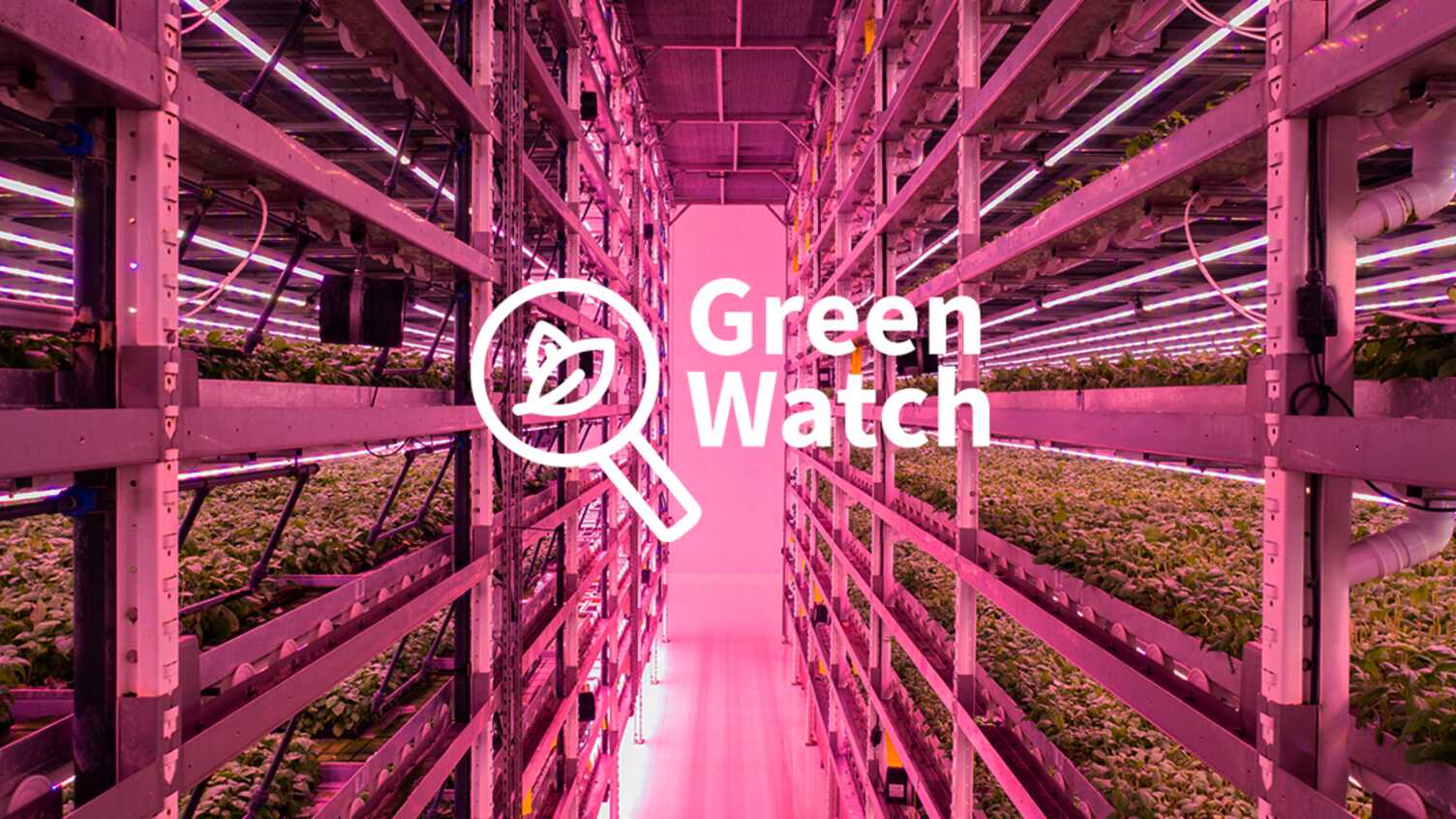 Thumbnail for Is Vertical Farming the Future? | Grantham Centre 