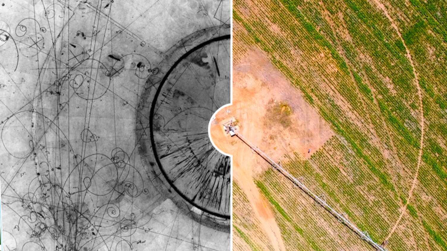 Thumbnail for From the stars to the soil: Can cosmic signals help farmers? | Research 