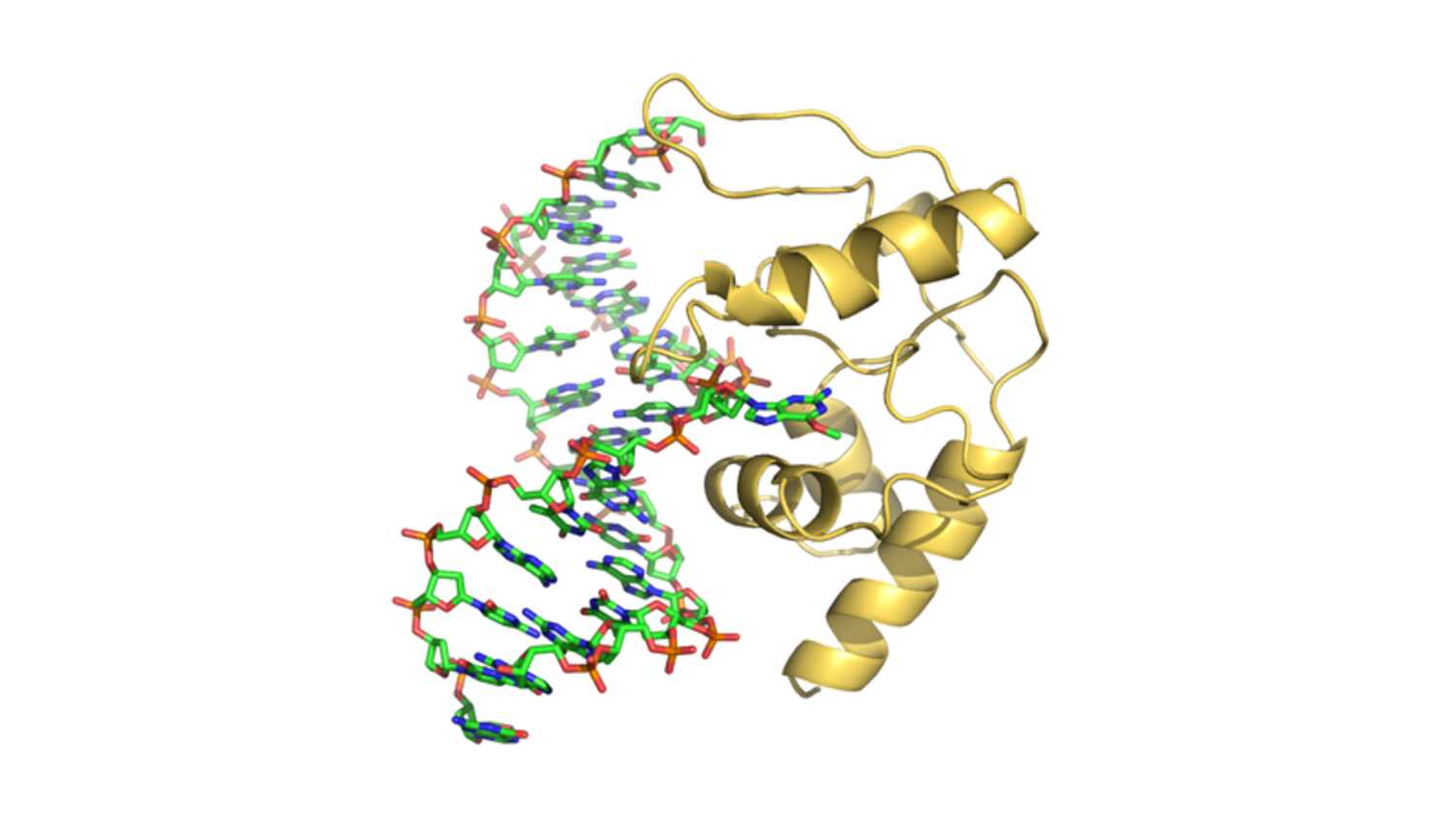 Thumbnail for Chemical Biology | Mathematical and Physical Sciences 